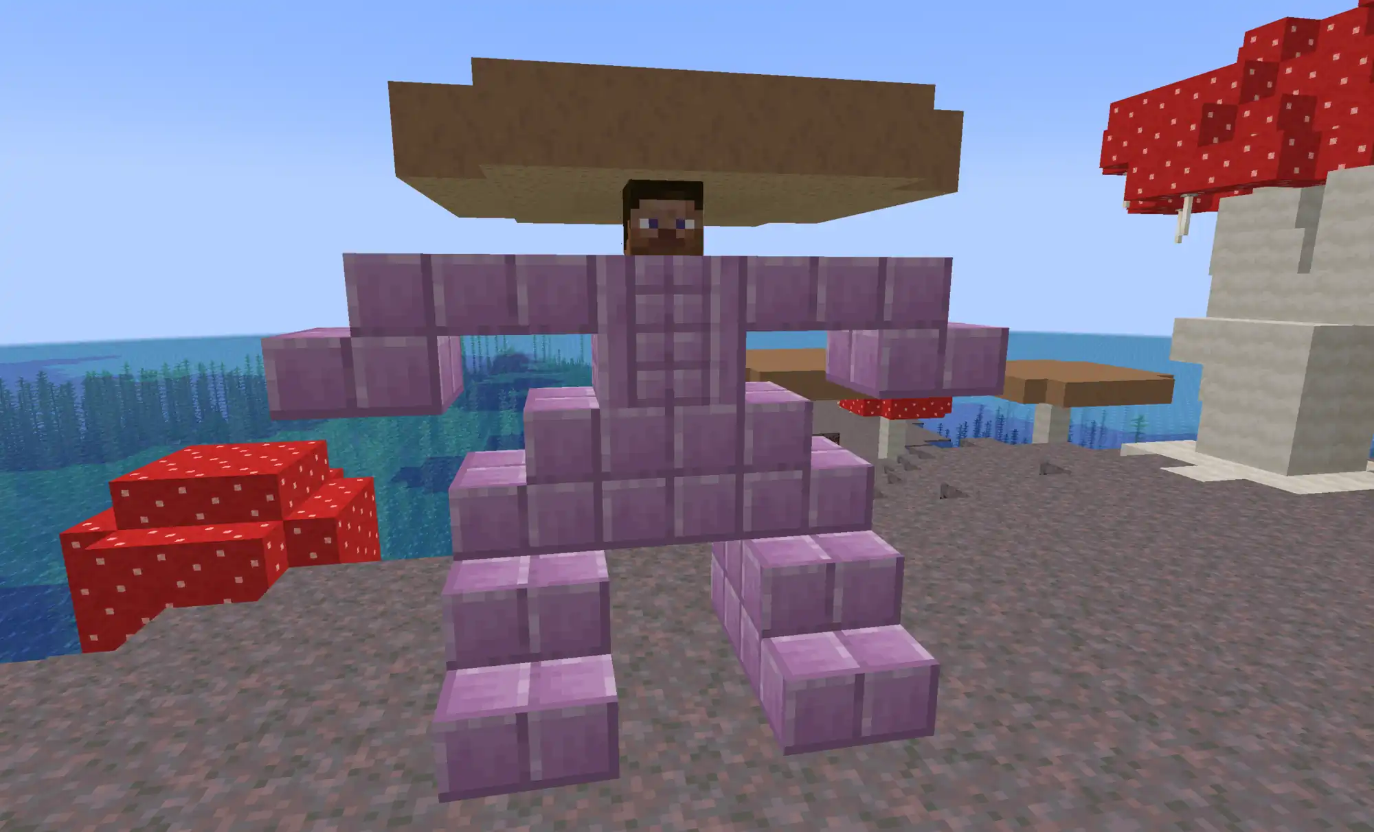 minecraft photo